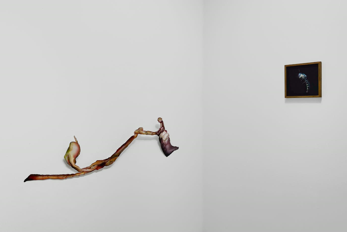 orchid: courting, 2025, by Siew Guang Hong